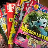 Focus / focus junior