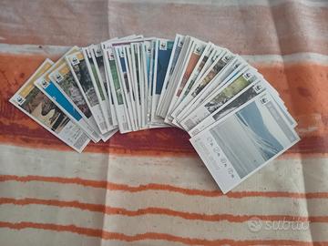 41 Card WWF Coop Salva il Pianeta