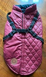 Cappottino Invernale per cani imbottito