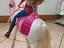 Immagine 2