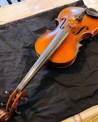 Viola 4/4