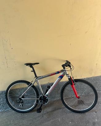 Bicicletta