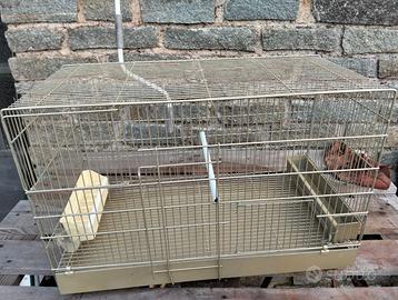 Gabbietta per uccelli voliera.