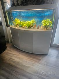 acquarii juwel vision 450 litri