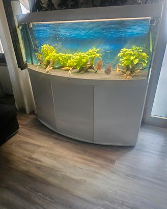 acquarii juwel vision 450 litri