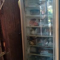 freezer vetrina negativo colonna 
