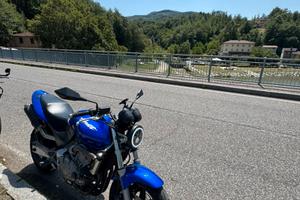 Honda Hornet 600 2000