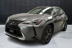 LEXUS UX - UX Hybrid Executive