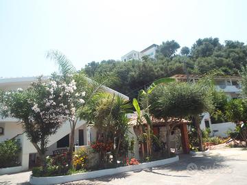 Appartamenti La Grazia (Parghelia)