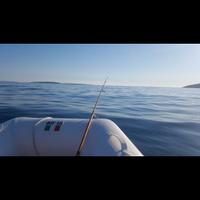 Nauti