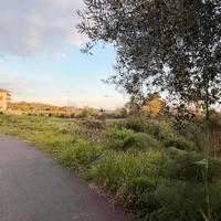 Terreno agricolo 1950 mq centralìssimo