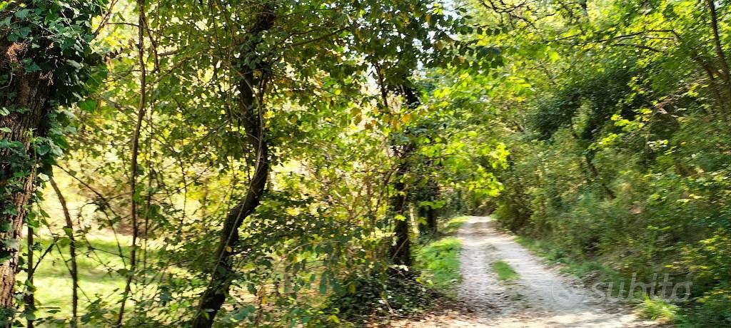 Terreno di 40000 m² a Arrone - Vista 3