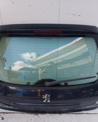8701R5 PORTELLONE POSTERIORE PEUGEOT 206 PLUS (T3E