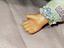 Immagine 5