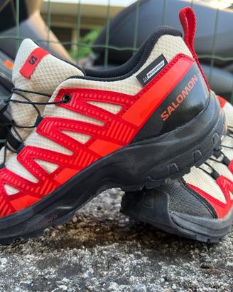 Scarpa