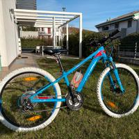 Bici ragazzo MTB Cube 24