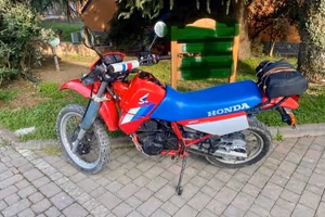Honda XL 600