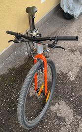 Mountainbike in alluminio