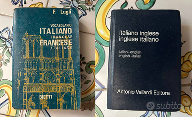 Dizionari lingua straniera assortiti English 