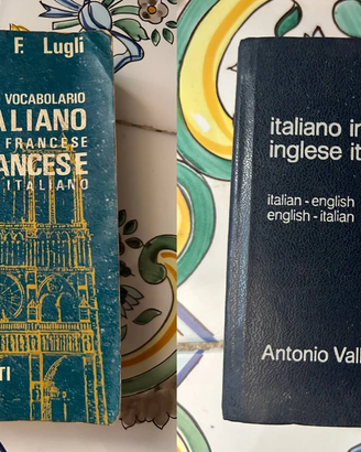 Dizionari lingua straniera assortiti English 