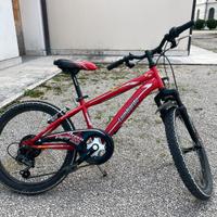 Bici Lombardo Brera 20”