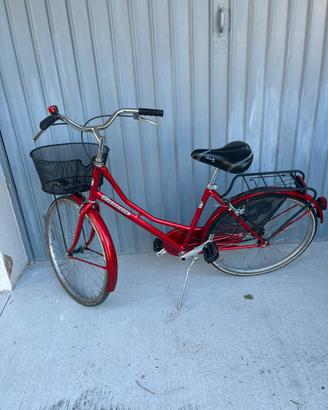 Bici Ruote da 24