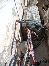 biciclette 