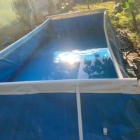 Piscsina