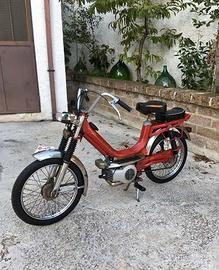 Testi Minarelli 50 - CONSERVATO - Anno 1977-