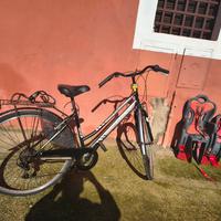 Casadei City Moving 28 – Comfort, Stile e Praticit