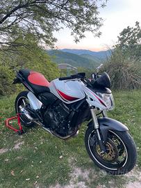 Honda hornet 600 2009