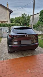Cx 30 exceed skyactive D 1.8 diesel automatica