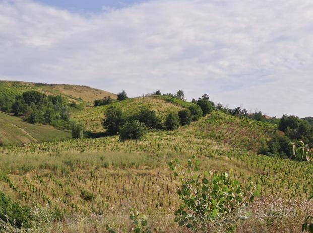 Immobile in asta di 121256 m² a Borgoratto Mormoro - Vista 3