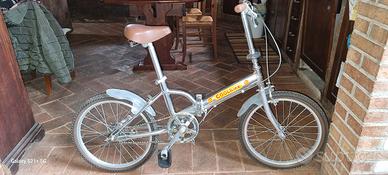 Bicicletta pieghevole 