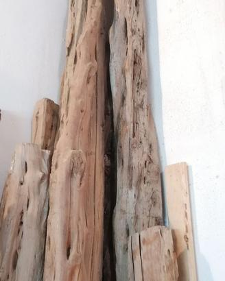 tronchi di ginepro