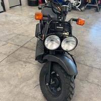 Honda zoomer