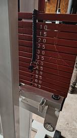 dip e trazioni assistite