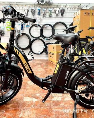 bici elettrica ovivo c2 pro