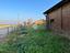 Immagine 29