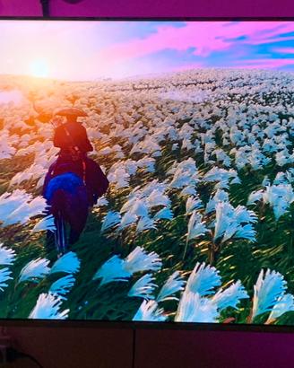 Tv hisense 4k 55 pollici smart tv