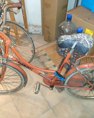 grazielle biciclette 