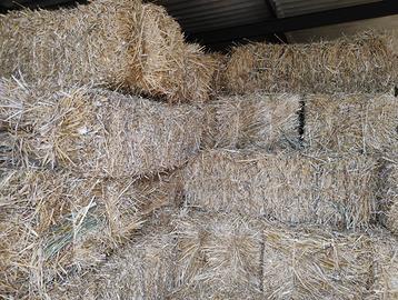 Foraggio in ballette