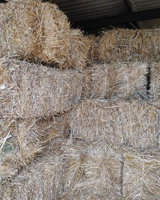 Foraggio in ballette