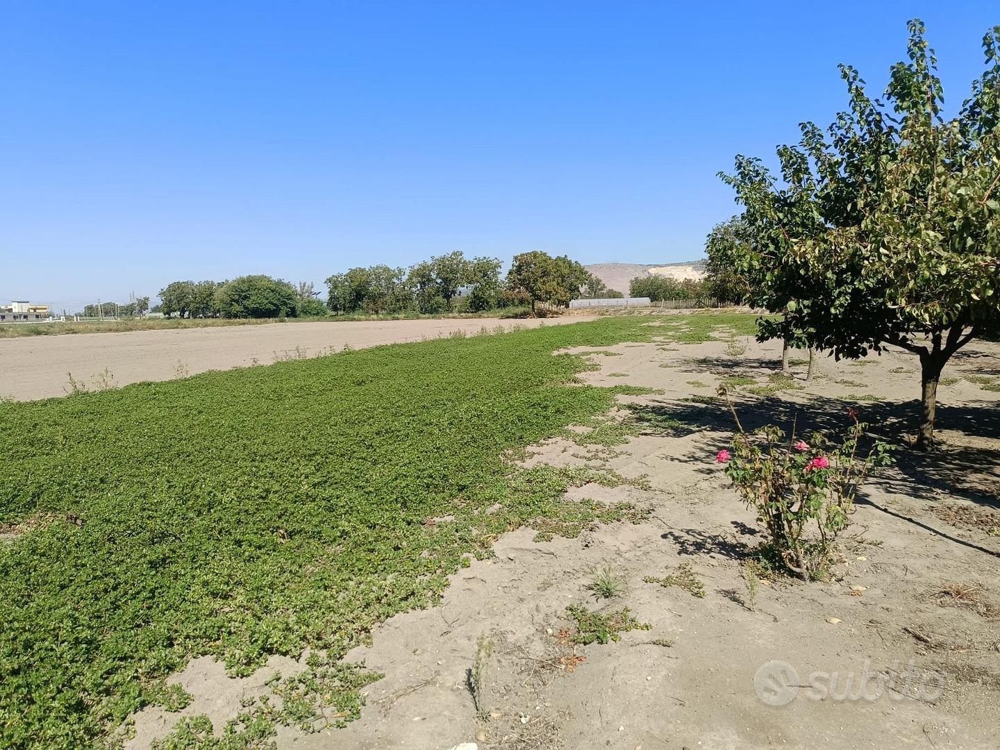 Terreno Agricolo pianeggiante, dotato di Pozzo