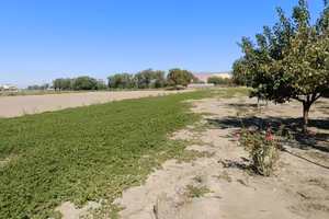 Terreno Agricolo pianeggiante, dotato di Pozzo