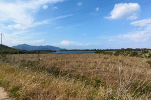 Terreno agricolo Loc. Feraxi , Muravera (SU)