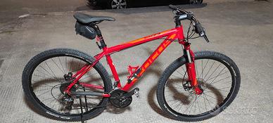 MTB Focus Black Forest 29”