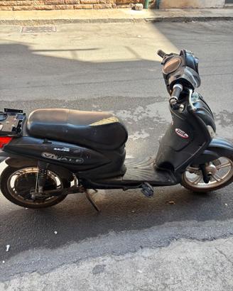 Bicicletta elettrica