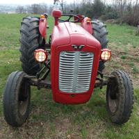 Trattore d'epoca massey ferguson 35