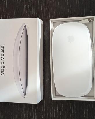 Mouse